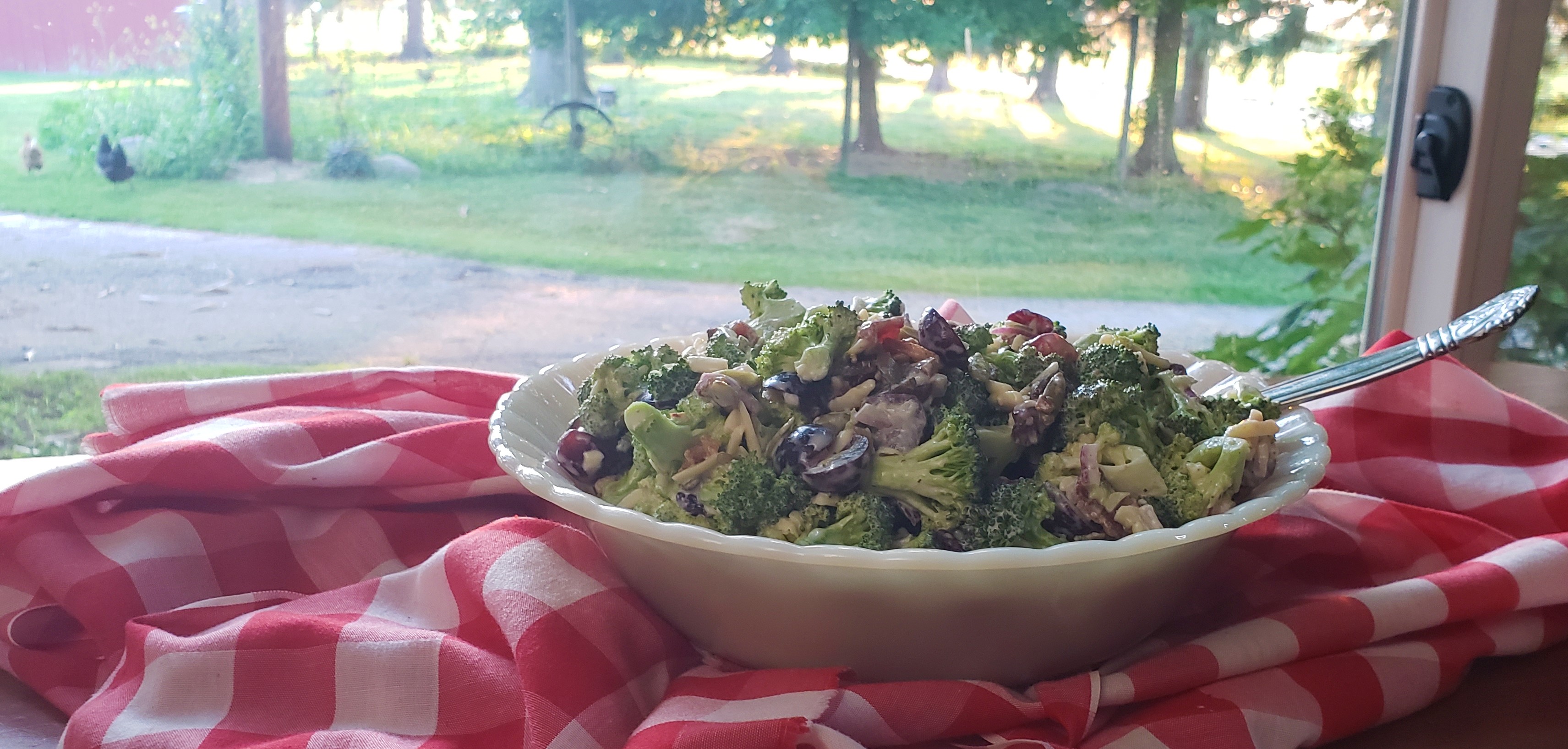 Grammie’s  Best Broccoli Salad