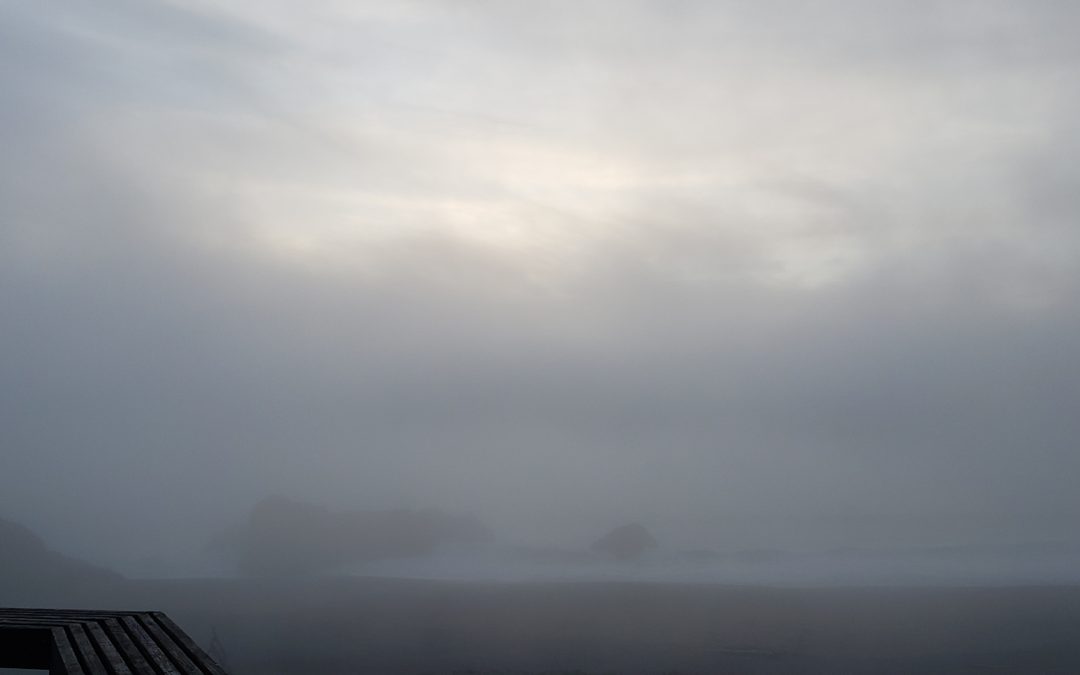 Foggy picture of the coast